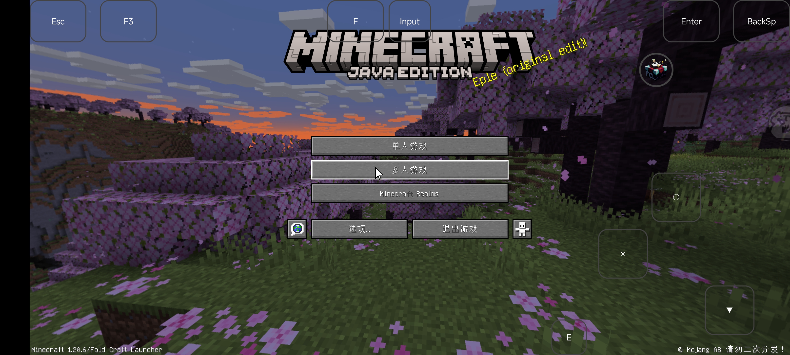 Screenshot_2025-02-20-21-34-24-329_com.tungsten.fcl